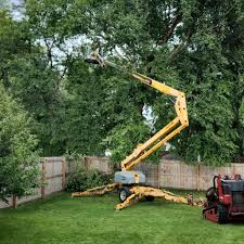 Best Sod Installation  in Rainbow, CA