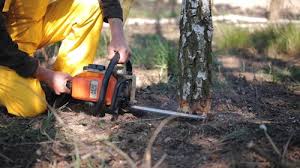 Best Weed Control  in Rainbow, CA